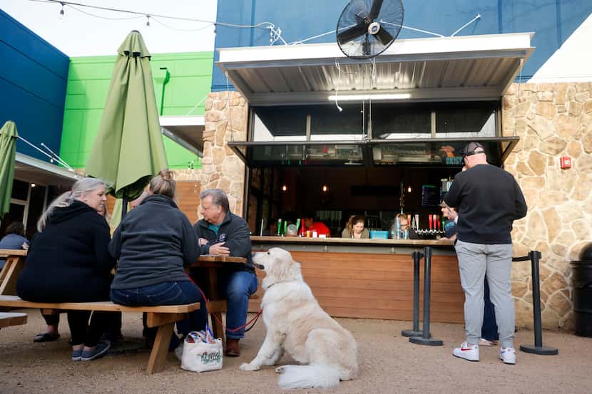 El patio de Hop & Sting Brewery en Grapevine también es apta para perritos.