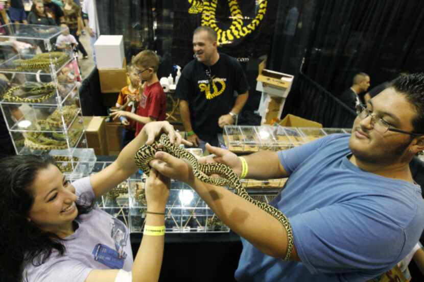 Danielle Yannazzo and Jesse Stolarczyk hold a speckled king snake during the North American...