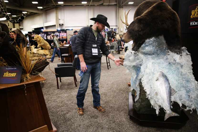 Cole Alderman looks at taxidermy work showing a bear catching fish during the Dallas Safari...