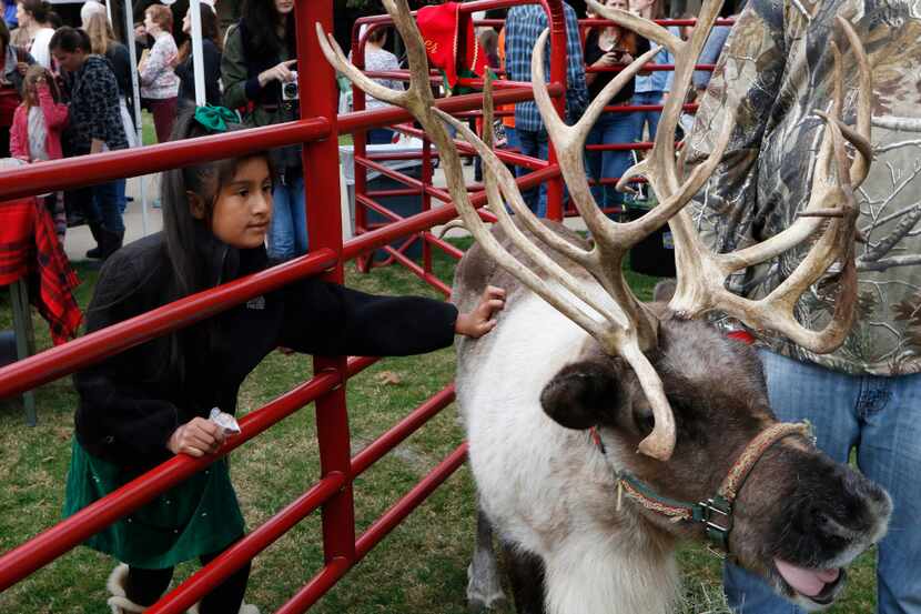 Jasmine Alvarez pets a live reindeer during the Salvation Army Angel Tree kick-off at...