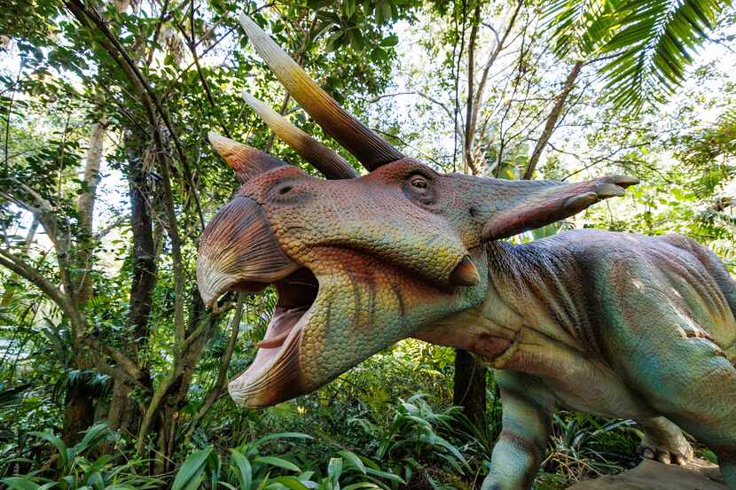 Fort Worth Botanic Garden will host "Dinosaurs Around the World: The Great Outdoors," an...