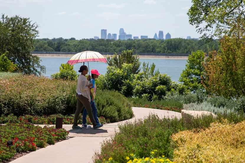 With White Rock Lake and the Dallas skyline visible in the background, Kathy Caldwell walks...