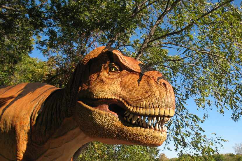 
See model dinosaurs up close and personal at the Heard Natural Science Museum and Wildlife...