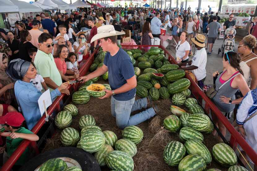 Josh Whitman cuts up samples of watermelons at the Dallas Farmers Market.