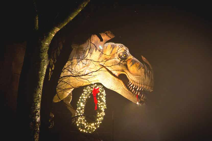 A Tyrannosaurus rex decked out in holiday décor awaits visitors at Holidays at the Heard...