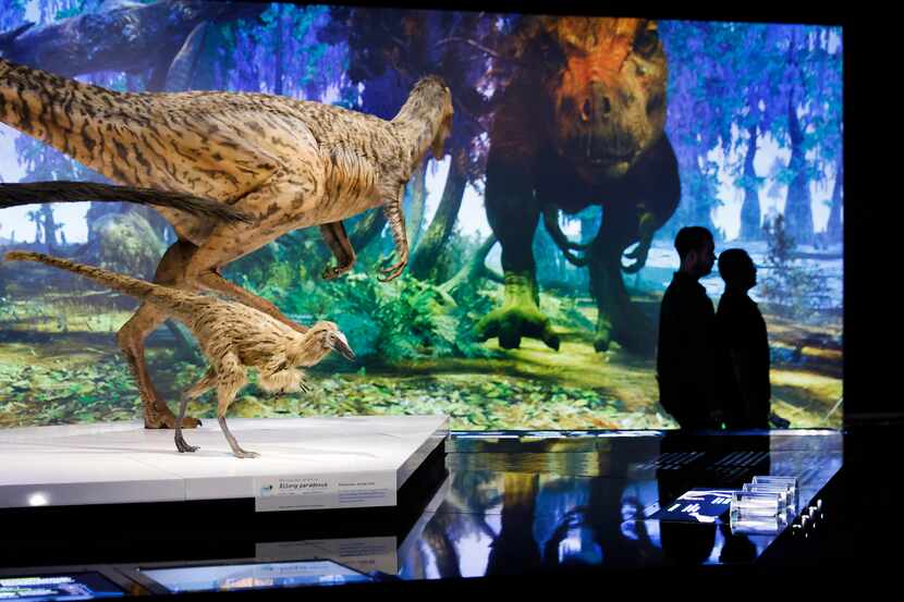 The ’T. rex: The Ultimate Predator’ exhibit now open at the Perot Museum of Nature and Science
