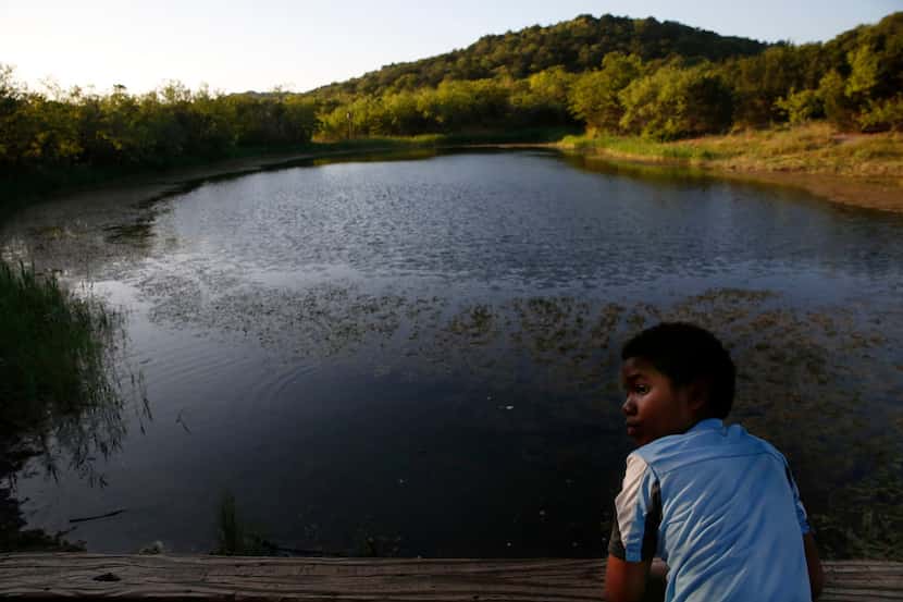 Ethan Dixson looks back from Cattail Pond at Cedar Ridge Preserve in Dallas.