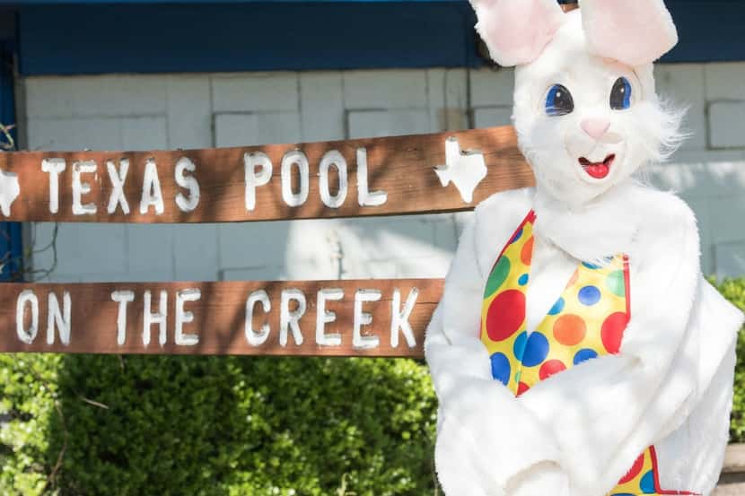 A free Easter Egg Hunt will take place on the lawn at The Texas Pool in Plano.