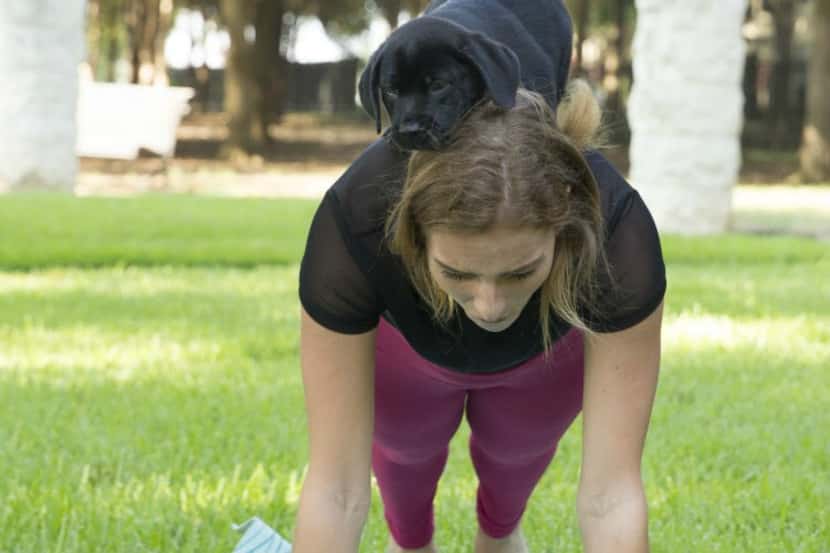 Puppy yoga is hosted by Friends of the Northaven Trail.