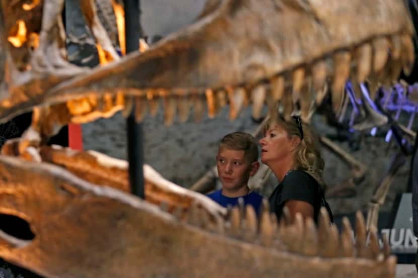 Visitors to the Ultimate Dinosaurs exhibit at the Perot Museum of Nature and Science