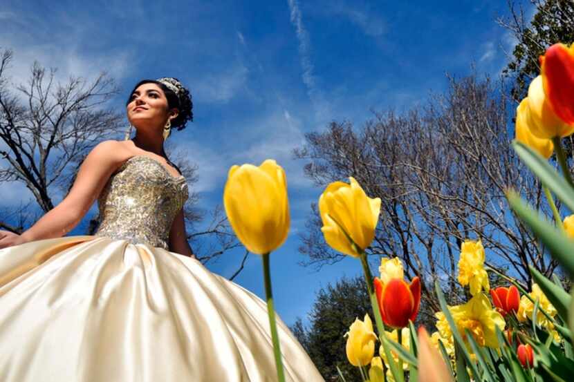 A girl wearing a quinceanera dress has her portrait made at the Dallas Arboretum.