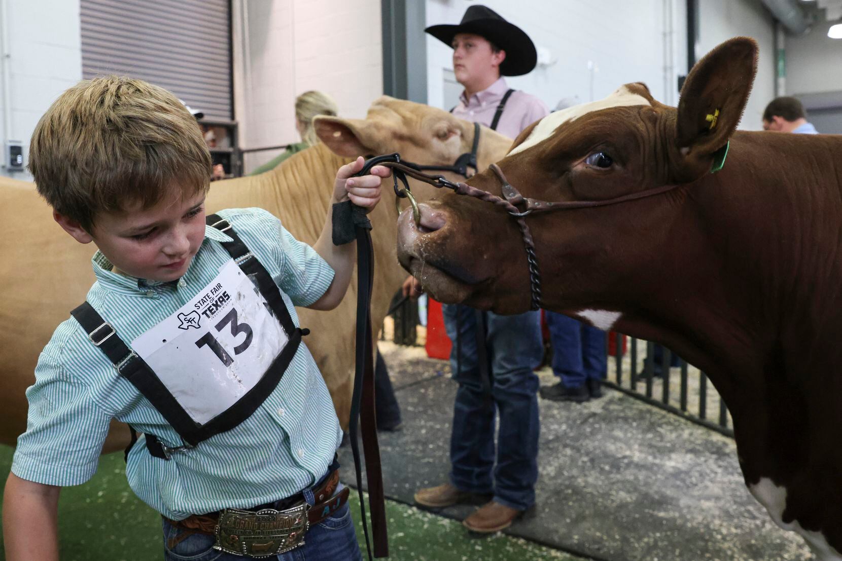 Ace James guides his breed champion steer at the Big Tex Youth Livestock Auction.