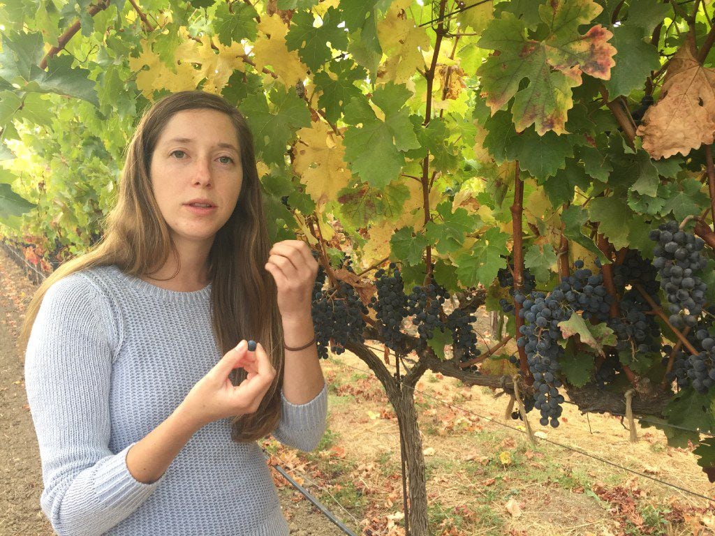 Third generation vintner Hailey Trefethen of Trefethen Winery leads the sustainability...