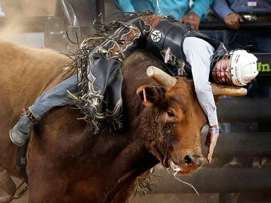 Bull rider Kyler Oliver is thrown down onto bull  Struttin Stuff's horn during the finals...