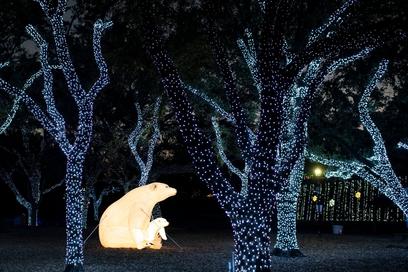 The Dallas Zoo's drive-through display has 1 million lights, light sculptures, moving images, light tunnels and silk-covered, animal-shaped lanterns. At the route’s end, there is a walk-through Holiday Village.