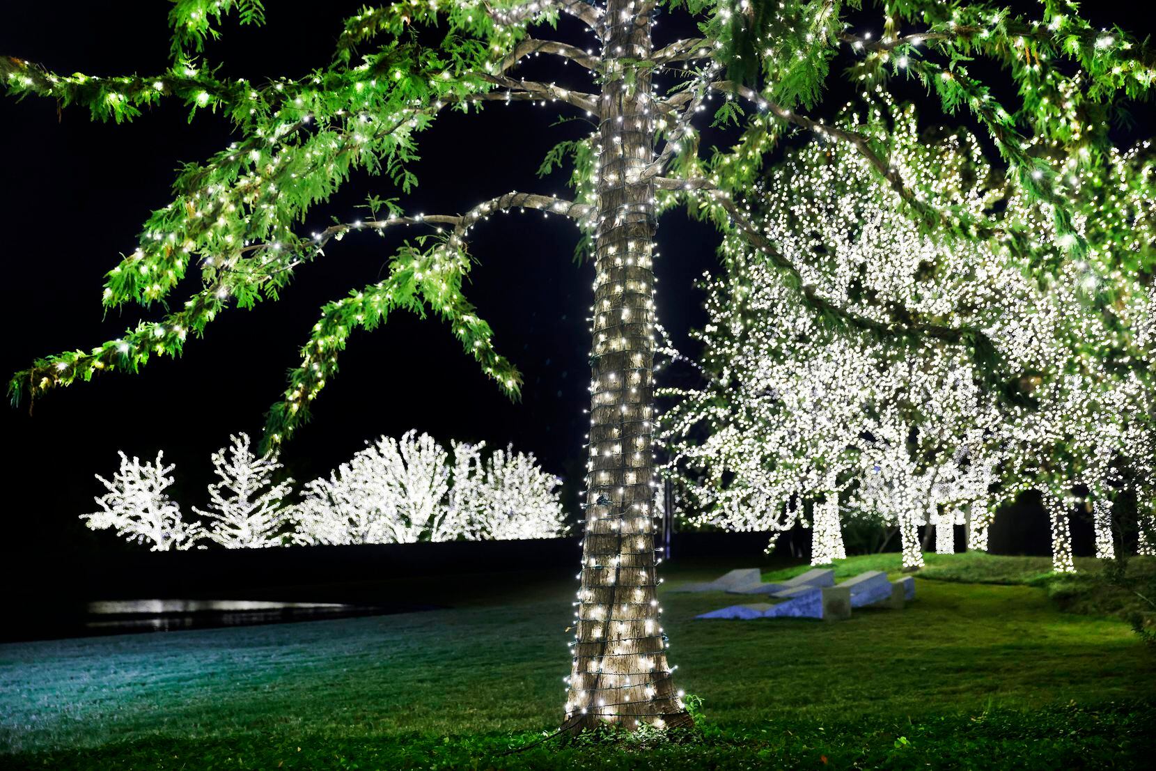 The illuminated, tree-dotted grounds of the Modern Art Museum of Fort Worth will be lit...