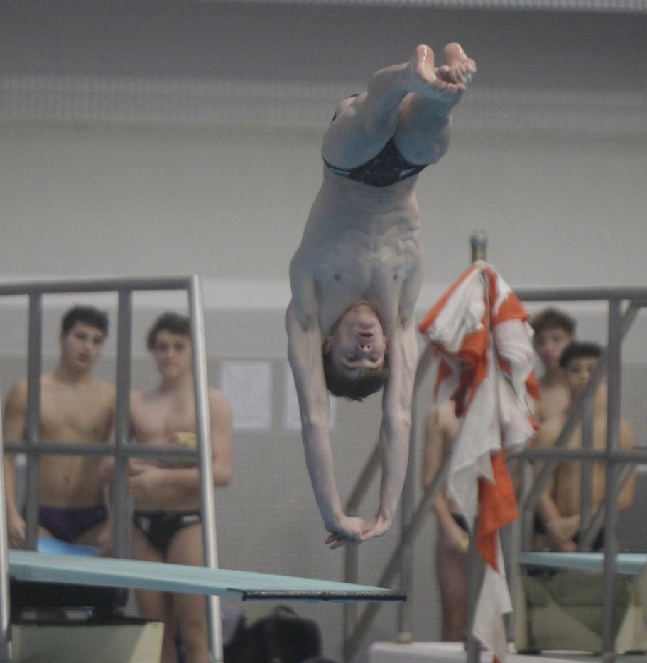 ProsperRock Hill diver Luke Sitz competes in the 5A Boys Diving competition. The final day...