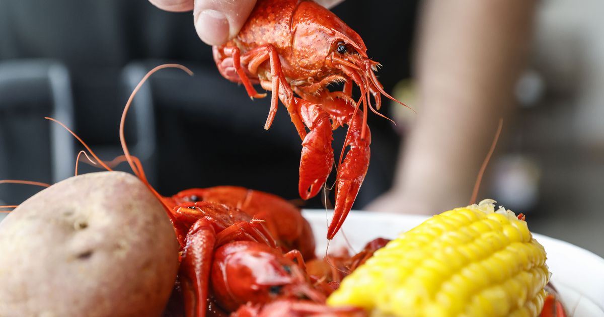 Craving crawfish? This Cajun current market in Frisco presents specialty meats, boudin king cake and much more