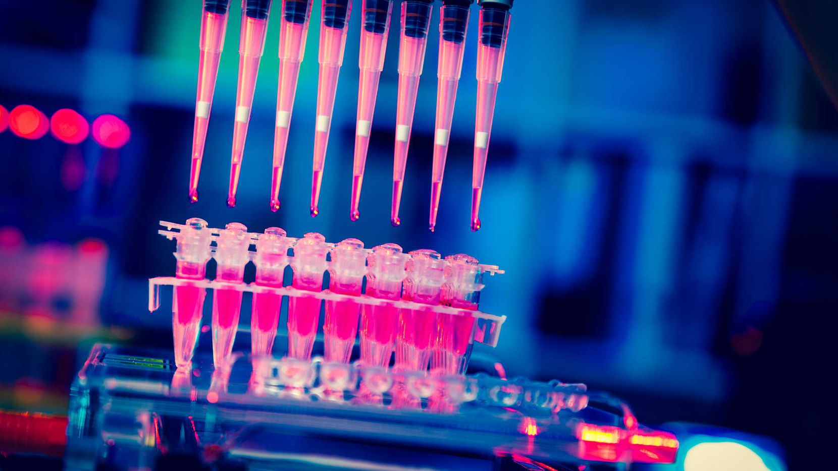 Dallas biotechnology firm Lantern Pharma will begin human trials on an experimental drug...