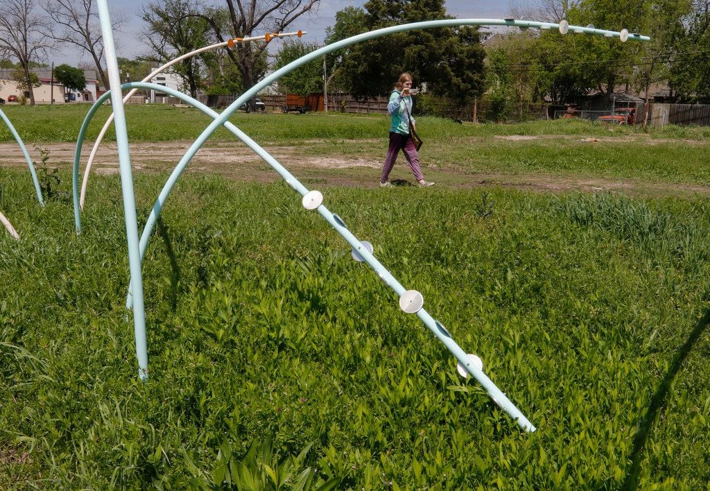 Emily Elizabeth Harback shoots video of the sculpture Texas Bluestem, 2016 by Art Garcia on a unused lot along North Henderson Avenue on April 5, 2018. A Dallas developer wants to build a mixed-use development on a stretch of land off of Henderson Avenue in Dallas that has been vacant for years. The lot is between Glencoe Street and McMillan Avenue. Harback says she would prefer to have the lot turned into a park. (Ron Baselice/Staff Photographer)