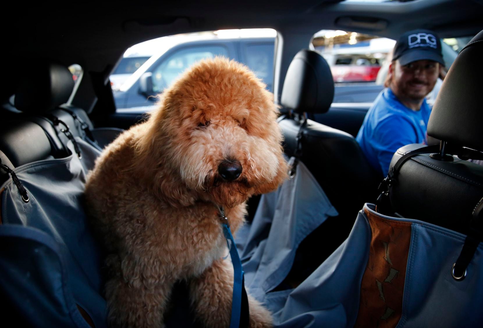 Justin Wallace brought his Labradoodle, Rowan, along to Keller's Drive-In for dinner.