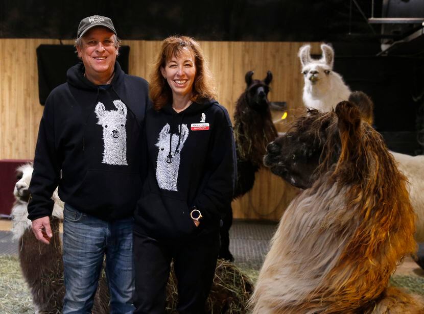 Paul and Sharon Brucato decided to become llama ranchers after their son fell for the...