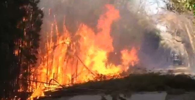  A section of the Katy Trail caught fire Tuesday afternoon. (KXAS-TV NBC5)