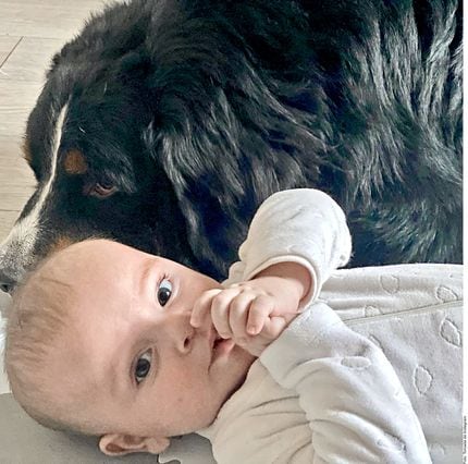 Érika Zaba, de OV7, publicó videos y fotografías de su hijo Emiliano con sus perros.