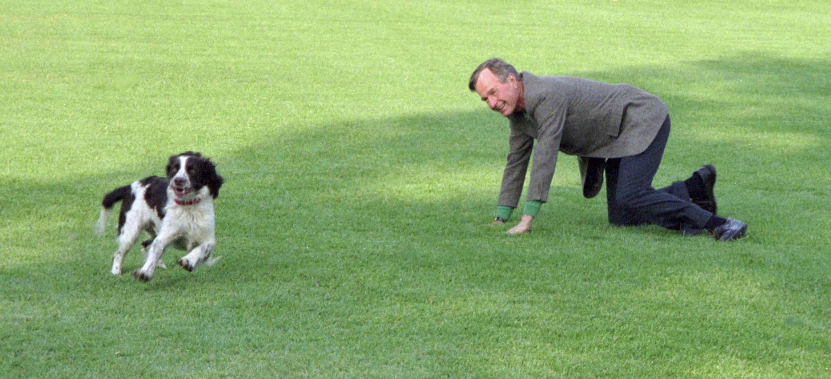 President George H. W. Bush plays with Ranger, an offspring of the couple's well-known dog...