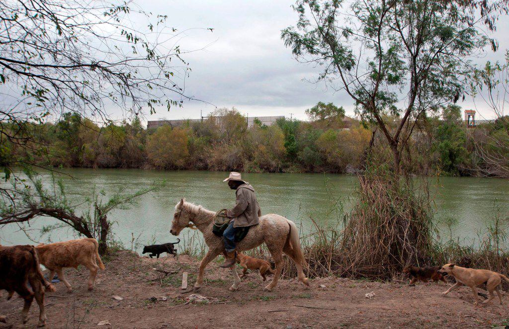 Un vaquero monta caballo al guiar una manada de vacas junto al Río Grande, cerca de Reynosa,...