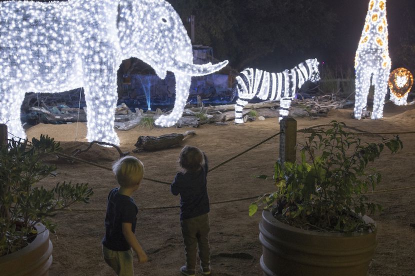 Children look at one of the light structures during the Dallas Zoo Lights event.