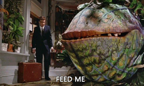 Texas Triffid Ranch plants are big, but not Audrey II big... FEED ME.