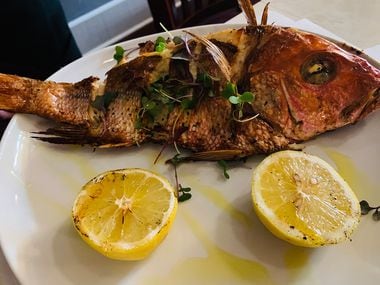 Andreas Prime Steaks and Seafood will sell "fish of the day" at market price, like red snapper. (Andreas Prime Steaks and Seafood)