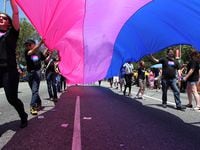 People marching with anBi, a bisexual organization, carry a bisexual flag in the 43rd L.A....