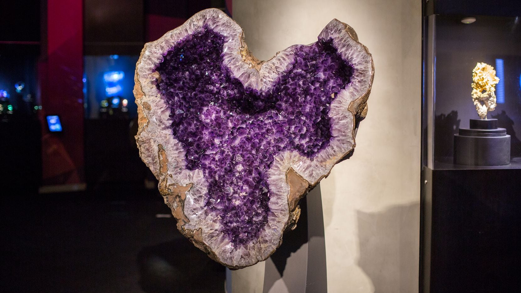 The Perot Museum of Nature and Science's Valentine's Day event, Romancing the Stone, will...