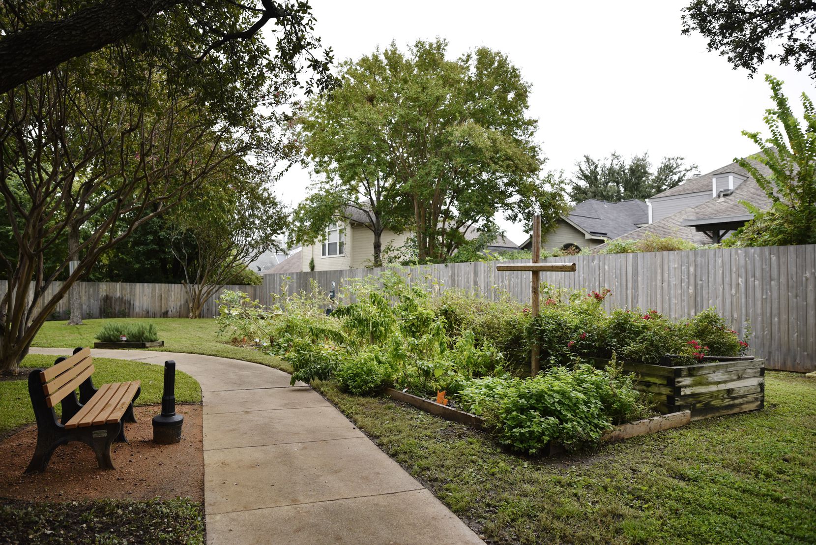In the courtyard at St. Jude Center residents maintain a garden along a fence line...
