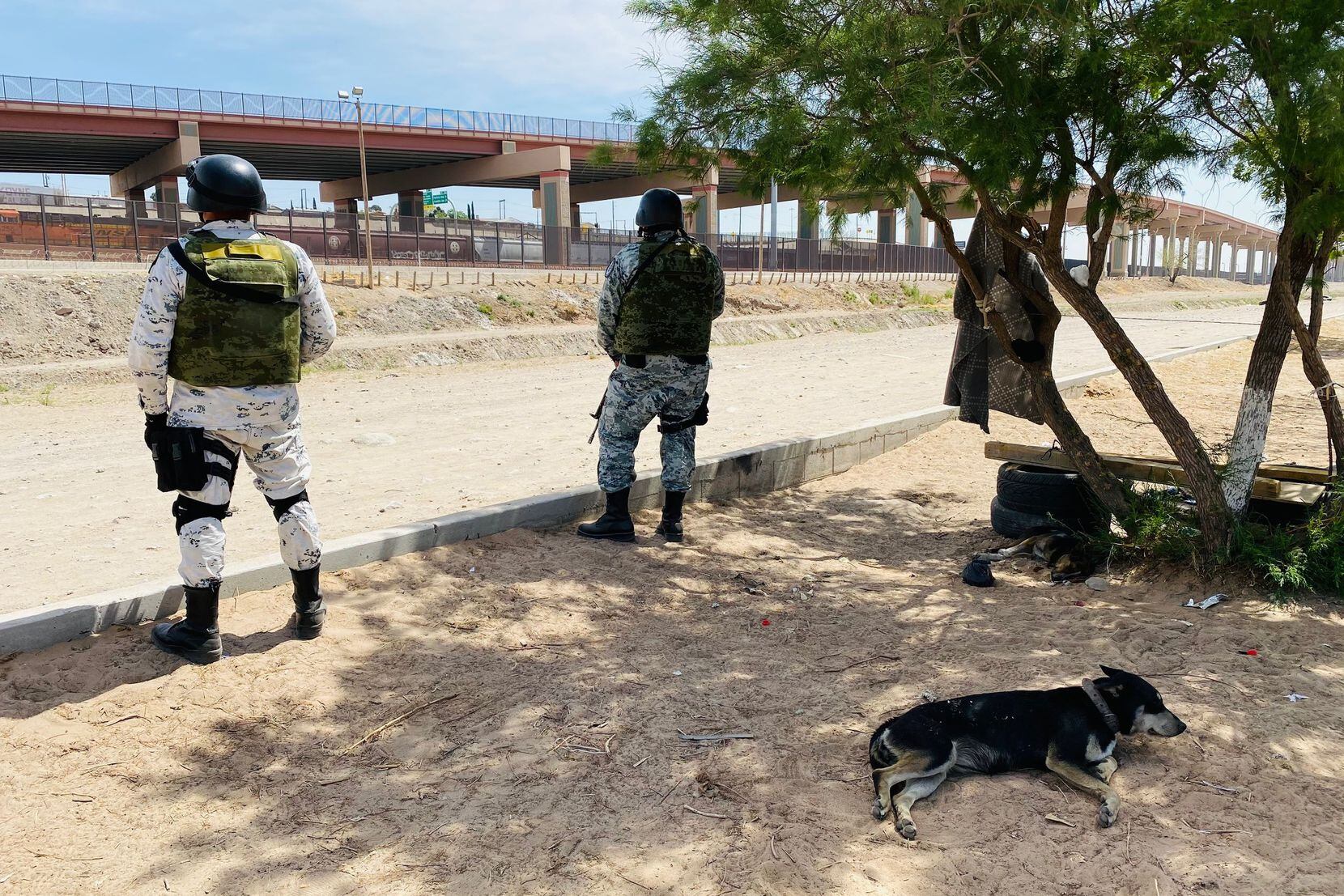 Cuidado con el Perro llega a Juárez