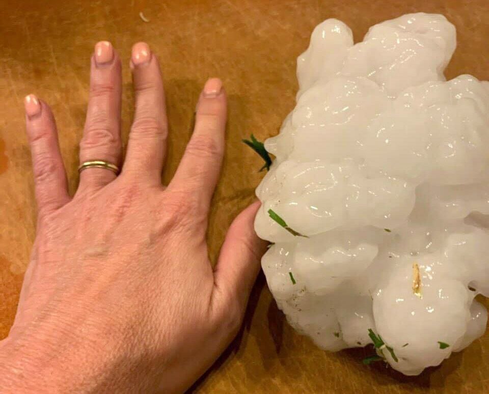 Gina Brown said this hailstone, about 5.5 inches, fell in her front yard in Salado on...