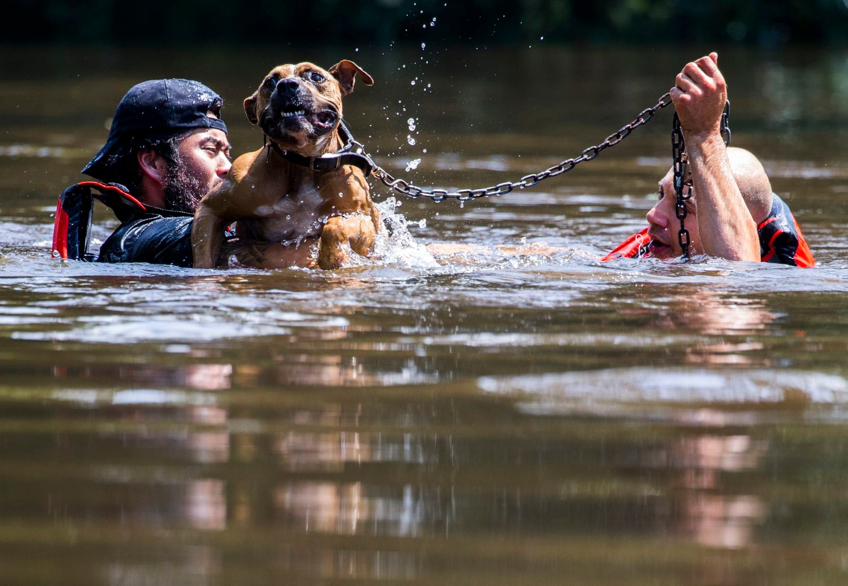 Marine Corps League member Jeff Webb, left, of Montgomery, Texas, and rescue diver Stephan...