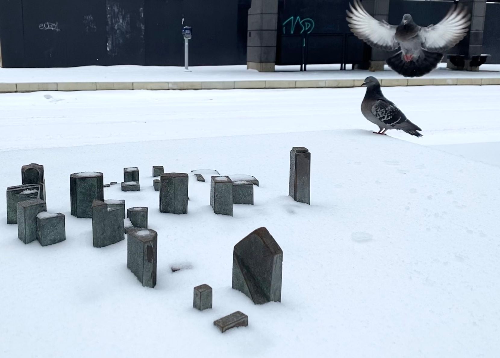 Two pigeons land, in the snow, on a miniature model of the City of Dallas at the...