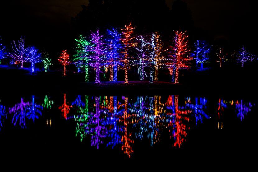 See the magic of the “Vitruvian Lights” from Nov. 18 to Jan. 1 at Vitruvian Park in Addison.