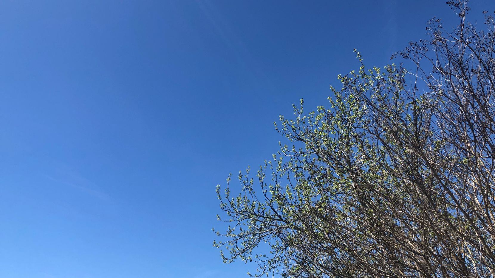 A blue sky over northwest Dallas on March 25, 2020.