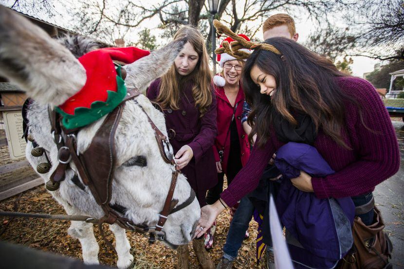 Visitors pet a donkey at Candlelight at Dallas Heritage Village.